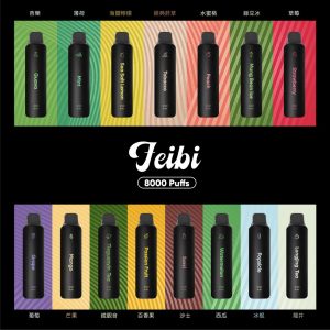 Feibi 菲比 電子煙全口味組合|15種風味展示